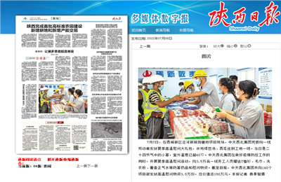 快盈lll西北集团珑樾府项目高温慰问——《陕西日报》